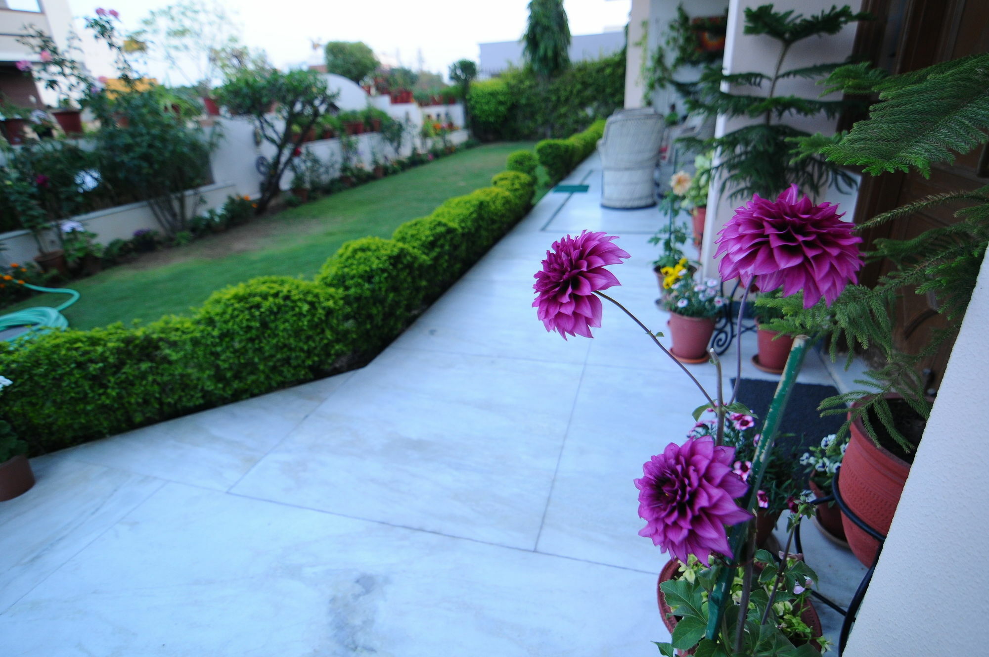 Jaipur Friendly Villa Esterno foto